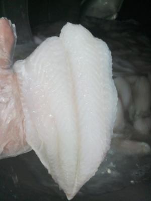 Cá tra fillet đã được qua sử dụng NEW TECH 19 - NONPHOSPHATE