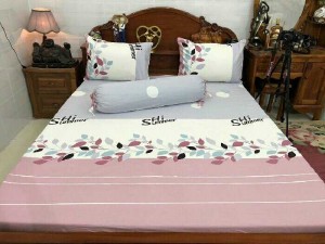 Cotton Hàn Quốc Mới