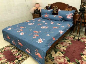 Cotton Hàn Quốc Thiên Nga
