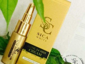 Sica Một Thương Hiệu Triệu Niềm Tin