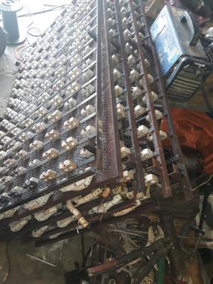 Cây sứ thổi gió