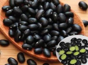 Đậu đen xanh lòng không hóa chất bảo quản, đặc sản Gia Lai