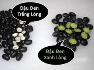 Đậu đen xanh lòng ngon hơn hẳn đậu đen trắng lòng dù giá chênh lệch không bao nhiêu