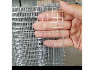 Lưới mạ kẽm phi 2 ô 12x12, 25x25, phi 3 ô 25x25, 50x50