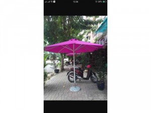 Dù che nắng giá rẽ nhất