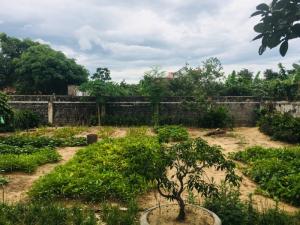 824m2 đất + Nhà trệt đổ mê mới tinh + Vườn cây trái đủ loại