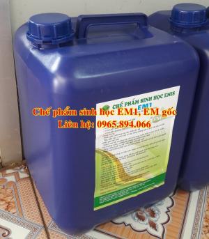 Quy trình ủ EM tỏi chuyên dùng cho nuôi tôm - Chế phẩm sinh học Đại học Nông nghiệp