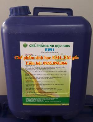 Sử dụng chế phẩm sinh học EM1 - EM gốc ủ EM tỏi cho gia súc, gia cầm