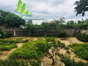 Bán nhà full nội thất TDP 8 phường Bắc Lý