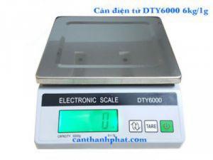 DTY6000