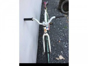 Xe đạp fixed gear / trắng zin