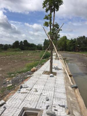 Trị Yên RiverSide vị trí vàng cho đầu tư sinh lợi nhuận
