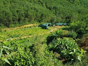 Bán 5ha đất trang trại tuyệt đẹp tại Kỳ Sơn, Hòa Bình