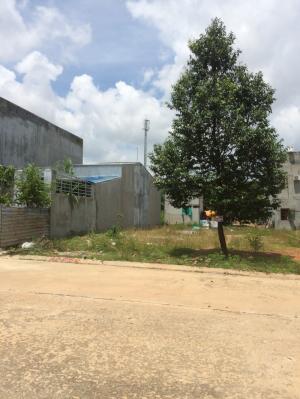 Chín chủ bán gấp 300m2 đất thổ cư,sổ hồng riêng