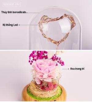 Đèn thủy tinh kiêm loa bluetooth TW-L10