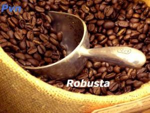 Cà Phê Robusta hạt rang/xay nguyên chất 100%