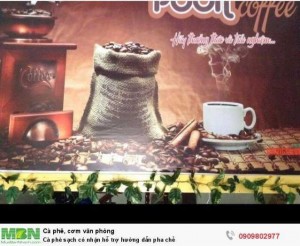 Phân phối cà phê nguyên chất hỗ trợ pha chế