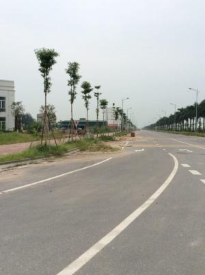 Hưng Yên được các chuyên gia đánh giá 1 trong những con rồng mới nổi của thị trường bất động sản.