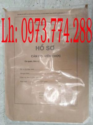 Bán bộ hồ sơ cán bộ viên chức nhiều mẫu khác nhau