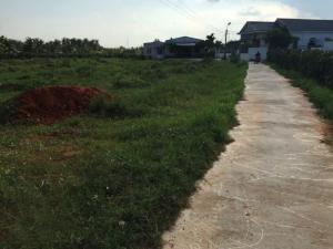 Bán đất ngay QL1A, Cách trung tâm Phan Thiết 5ph đi xe