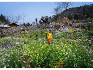 Cao thủ Số 1 về hỗ trợ người hôi nách