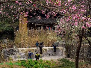 Bộ bàn ghế Ngọc Am.