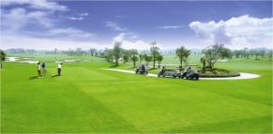 Kn Paradise, Cơ Hội Đầu Tư Vàng, Vị Trí Độc Tôn