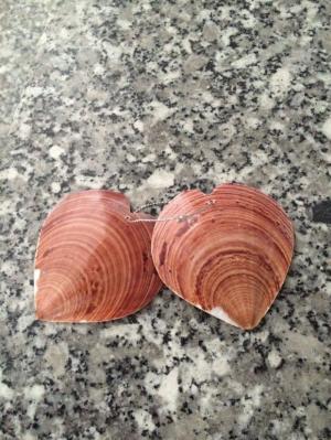 vỏ sò trái tim (cặp)