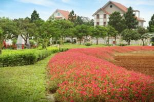 Cơ hội đầu tư đón đầu Siêu dự án VinCity Đan Phượng!
