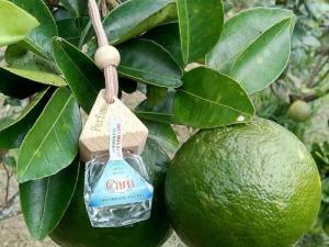 cũng là tinh dầu cam được đựng bằng chai dùng để treo xe ô tô
dùng khử mùi trên xe hơi giúp tạo không khí dể chịu , giảm buồn ngũ minh mẩn tinh thần