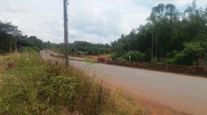 Bán Đất Thôn Tân Hòa Bù Nho Phú Riềng Bình Phước