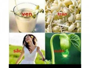 0,5Kg Mầm Đậu Nành Nguyên Xơ, Thơm Ngon, Chất Lượng!