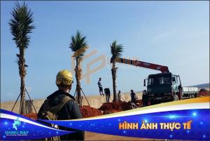 Bán đất biển dự án HamuBay Phan Thiết