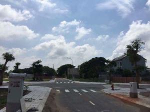 Khai bán dự án Luxury Central tiêu chuẩn Singapore