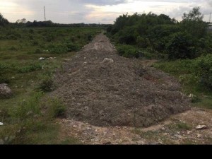 Đất gần cầu Cát Lái xã Phú Đông Nhơn Trạch 1000m2 đường xe hơi