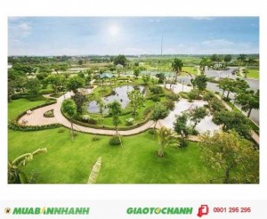 Đất nền khu đại học quốc tế tân tạo dt:125m2 cơ hội đầu tư sinh lợi hay