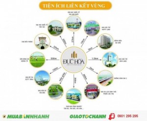 Đất nền khu đại học quốc tế tân tạo dt:125m2 cơ hội đầu tư sinh lợi hay