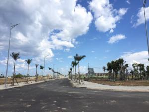 Đất biệt thự 300m2 đường 25m thích hợp xây kho xưởng, khách sạn