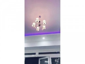 Bán nhà mới xây nội thất cao cấp Tân Phú