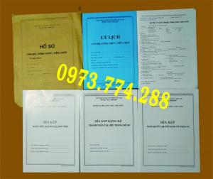 Mẫu hồ sơ cán bộ công chức viên chức