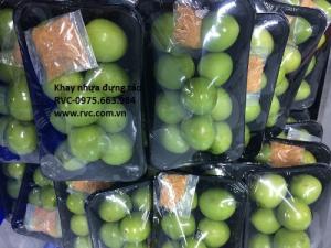 Khay nhựa đựng táo gió