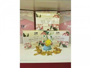 Trà Hoa Sâm Đất Zn mới giảm cân an toàn