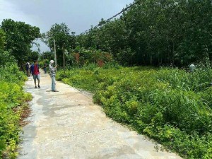 Đất nằm ngay cạnh ql 13 cách chợ Chơn Thành 500m