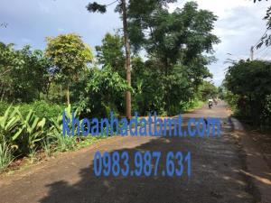 Bán Đất thổ cư 5*50m, Mặt Tiền hẻm 246 Nguyễn Thị Định, giá đầu tư, Đường nhựa rộng rãi.