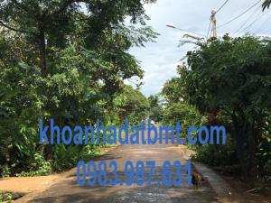 Bán Đất thổ cư 5*50m, Mặt Tiền hẻm 246 Nguyễn Thị Định, giá đầu tư, Đường nhựa rộng rãi.