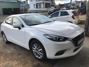 Mioto – dịch vụ cho thuê xe tự lái 4-7c giá rẻ, nhiều dòng đời mới tại Tphcm
