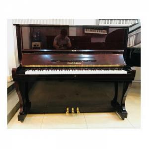 Piano Carl & Sons 130W - BH 7 năm