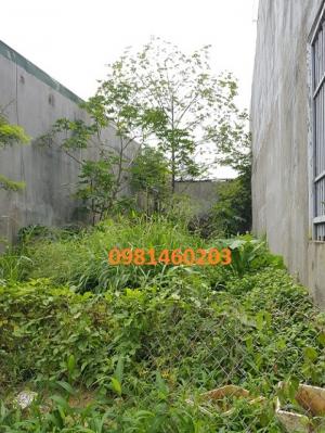 Đất Hẻm 151 YNgông 5x17m(550Tr),Trung tâm Tp