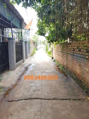 Đất Hẻm 151 YNgông 5x17m(550Tr),Trung tâm Tp