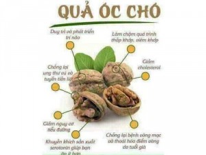 Mầm đậu xanh plus Mộc Trà